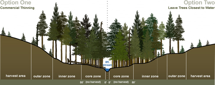Graphic Depicting Two Approaches to Achieve Desired Future Conditions in Buffer Zones